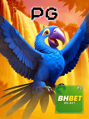 BHBET bônus — cashback 15 por cento e níveis VIP