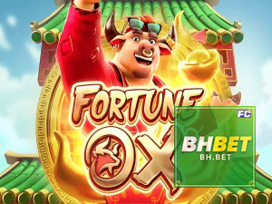BHBET login — painel de entrada no app oficial